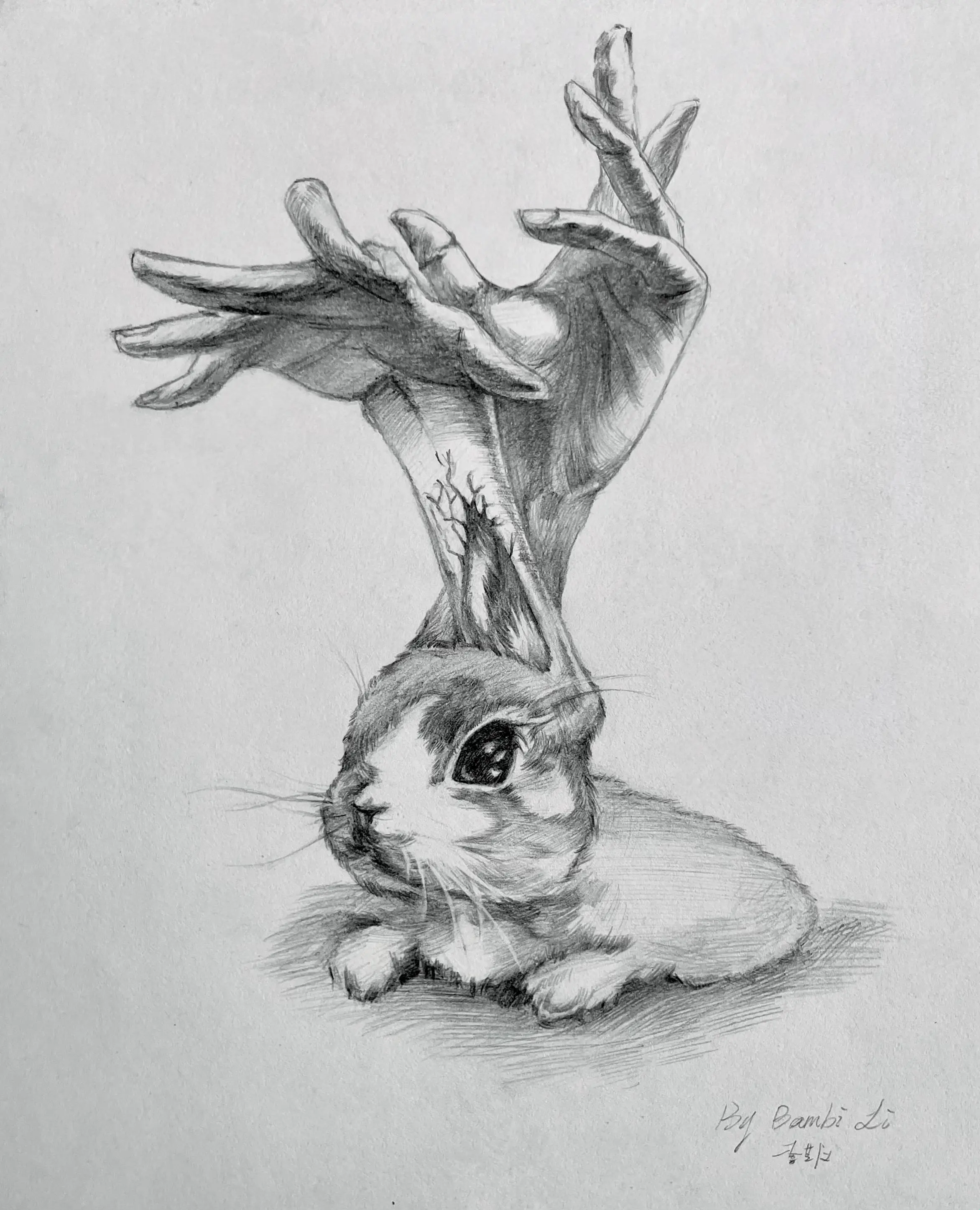 Rabbit & Hands